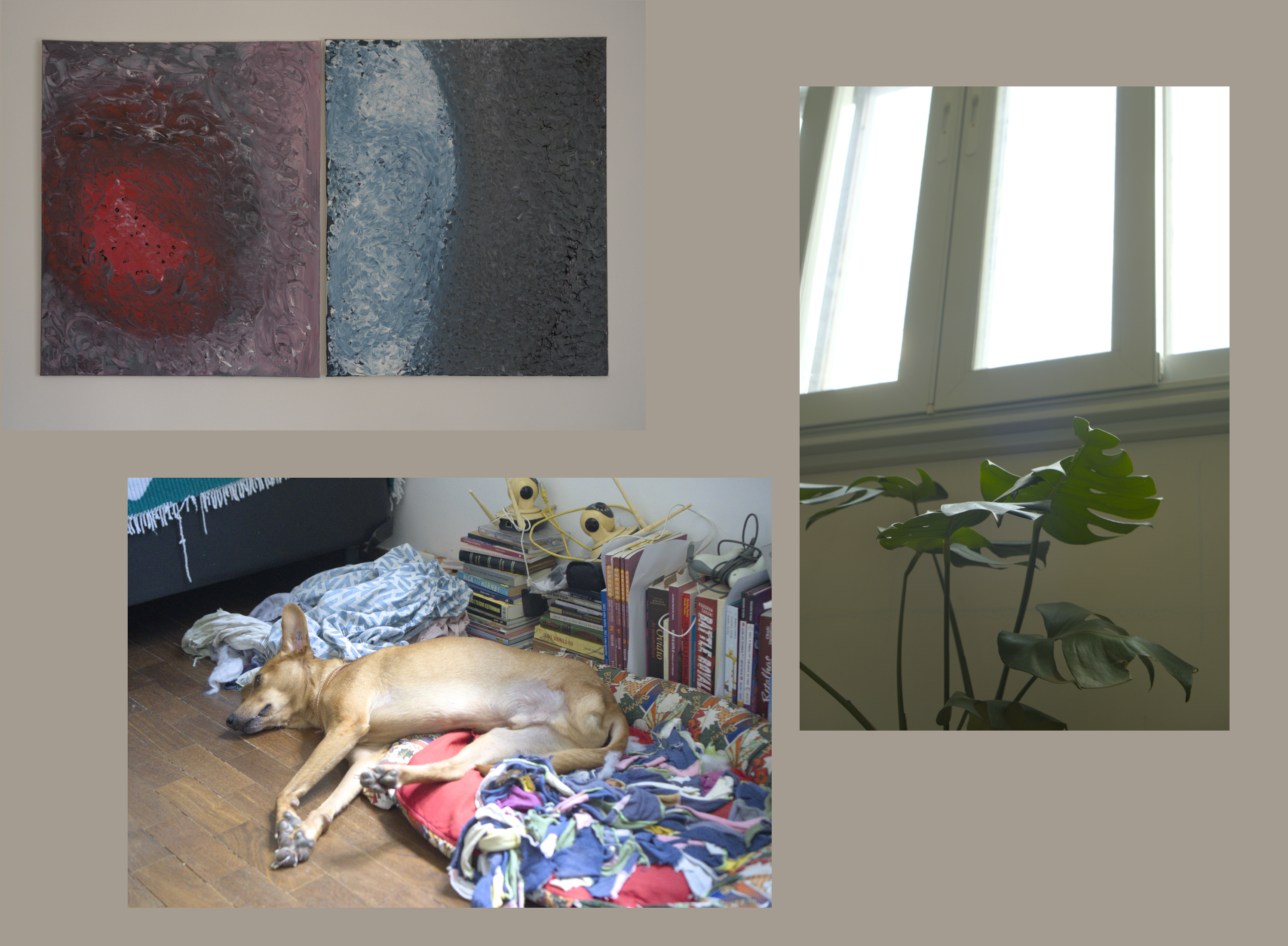 Montagem com três fotos. Acima à esquerda uma foto com dois quadros pintados com tinta óleo, no primeiro uma mancha vermelha, da cor do sangue e do fogo da madeira, encoberto ao redor por pinceladas grossas de tinta acinzentada, de forma grosseira pode parecer como um coração brilhante imerso em um líquido. No segundo dos dois quadros da primeira foto é predominante a cor azul do mar: Uma semi elipse azul clara, de pinceladas grosseiras, sobre um azul quase negro. Como a superfície de um planeta, em que ao seu interior está o primeiro quadro. Na segunda foto, abaixo da primeira e ligeiramente deslocada à direita, um cachorro da cor da palha do milho sem a perna traseira esquerda, deitado e completamente esticado, parte sobre uma caminha de cachorro semelhante a uma almofada baixa e parte sobre o chão. Em seu entorno panos, o piso de taco, livros enfileirados contra a parede, e eletrônicos. Na terceira foto, à direita e verticalmente quase centrada, deslocada ligeiramente para cima, uma foto sem objetos completos. A metade superior da foto é parte de uma janela, com um dia ensolarado no exterior que só permite a entrada de luz branca e cegante, impedindo qualquer definição do que há do lado de fora. A metade inferior da foto são as folhas de uma costela de adão com a parede branca abaixo da janela ao fundo.